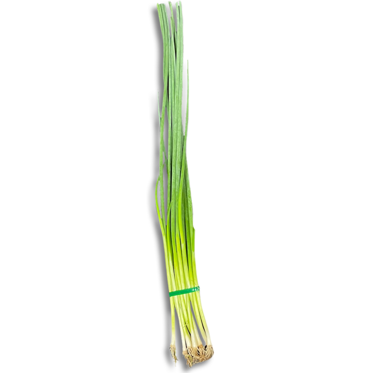 /Japanese Chives