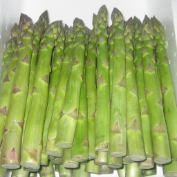 AXp/asparagus