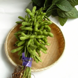 }/edamame