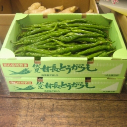 Ƃ炵