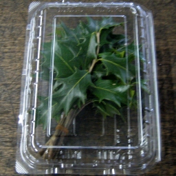 Ђ炬̗t