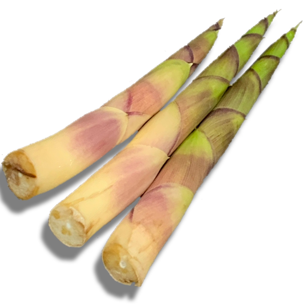 P|/Mini bamboo shoots