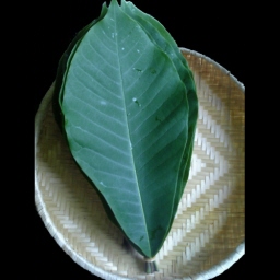 قt