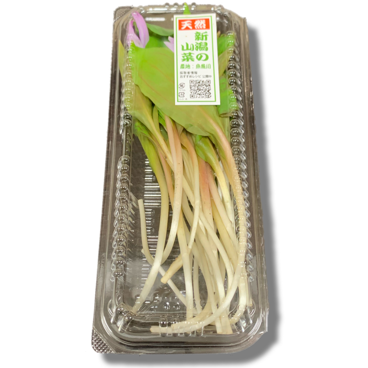 ЌI