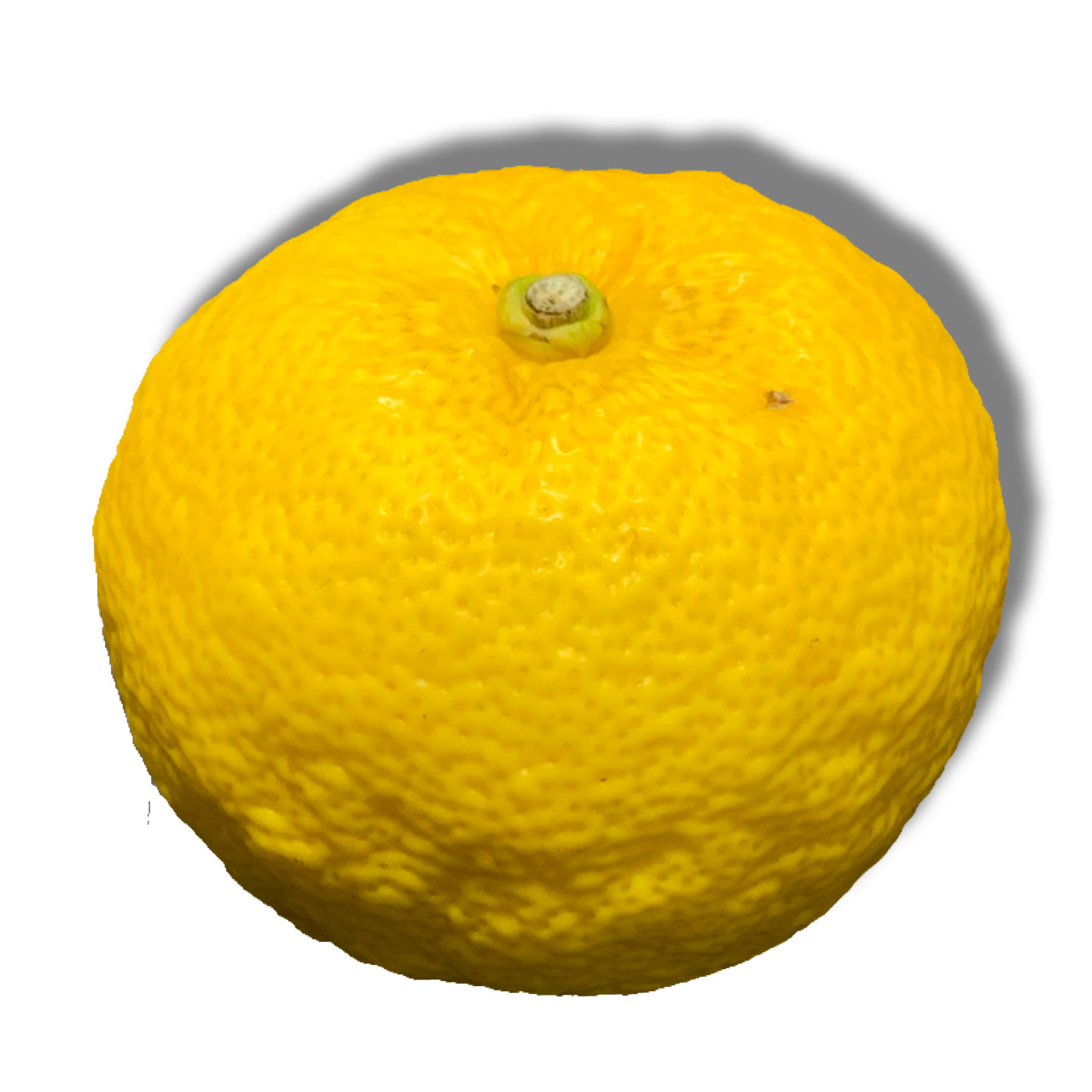 Mq