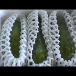 q~Z/Mini winter melon