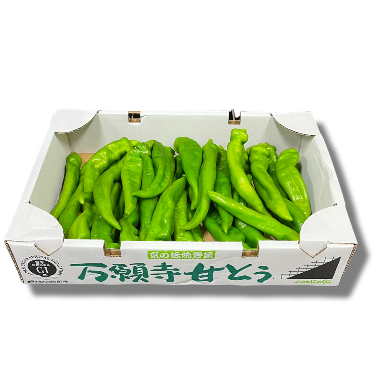 莛