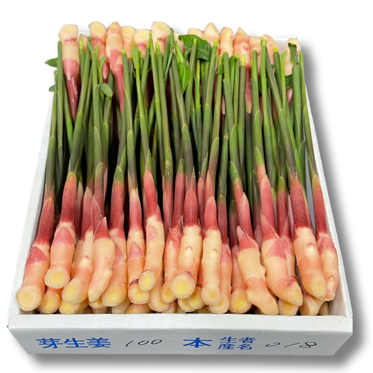 肵傤
