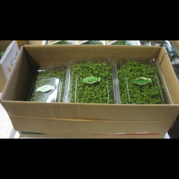 R/Japanese pepper