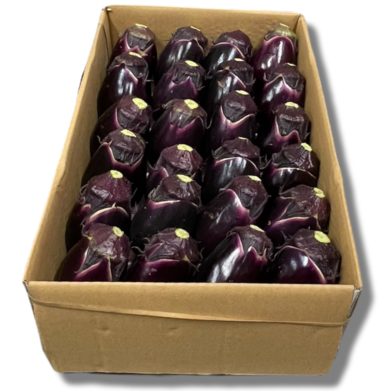 ֎q/Mizunasu eggplants