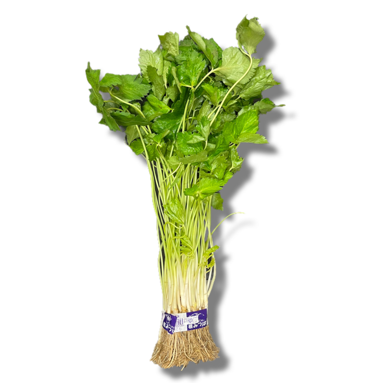 ݂