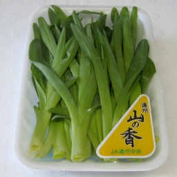 삩񂼂