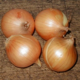 yR