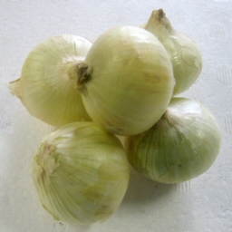 yR