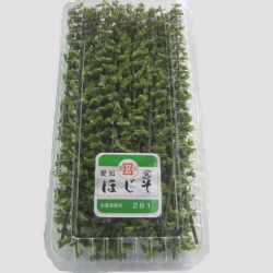 䎇h