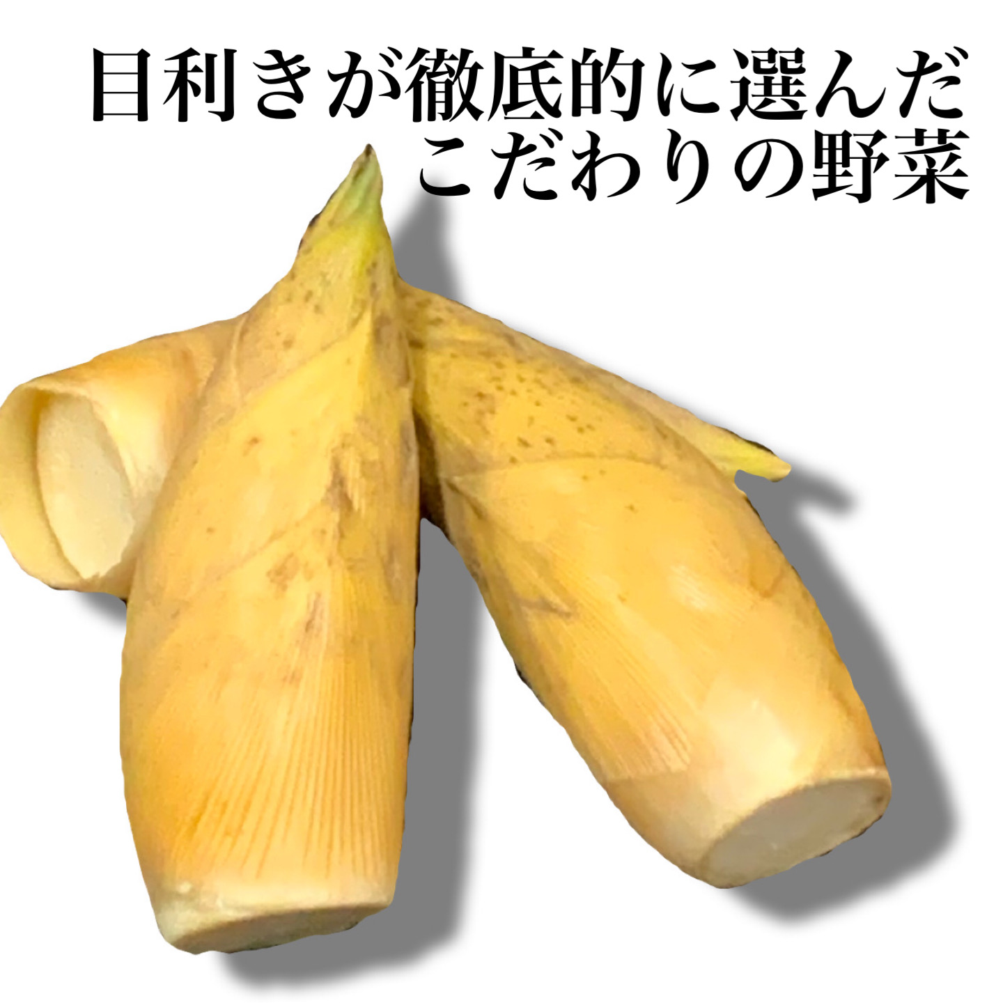  / Bamboo shoot