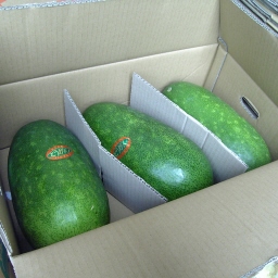 冬瓜