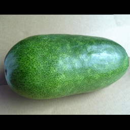冬瓜/Winter Melon