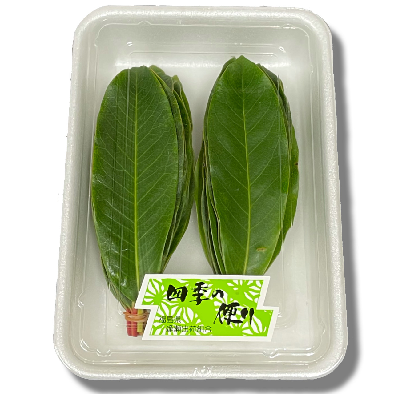 䂸t
